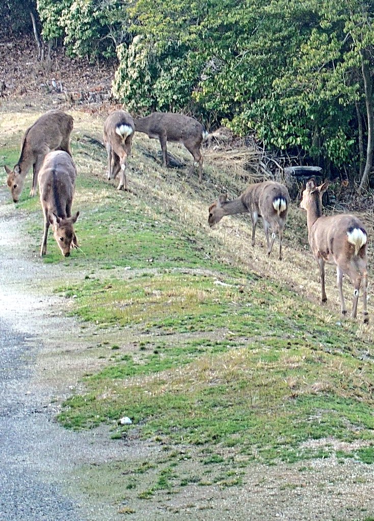 Seiuchi885 tweet media