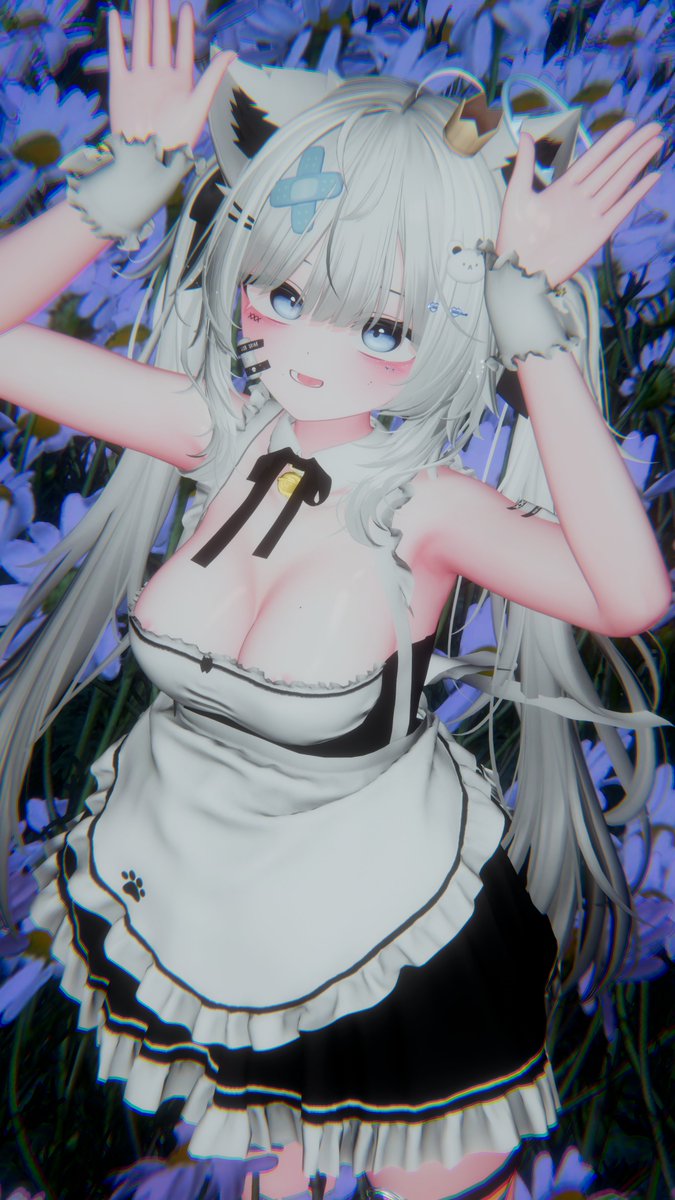 😼