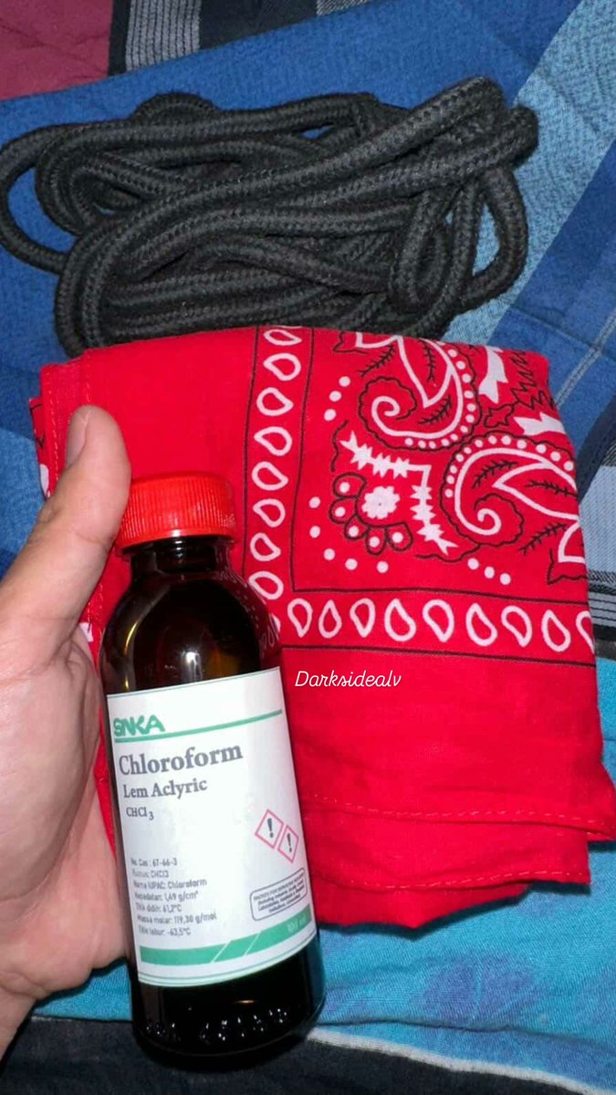 𝓐𝓵 tweet media