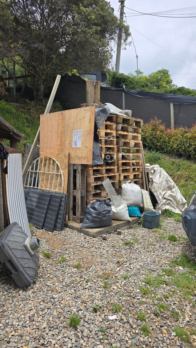 Marce Tabares 🐶 tweet media