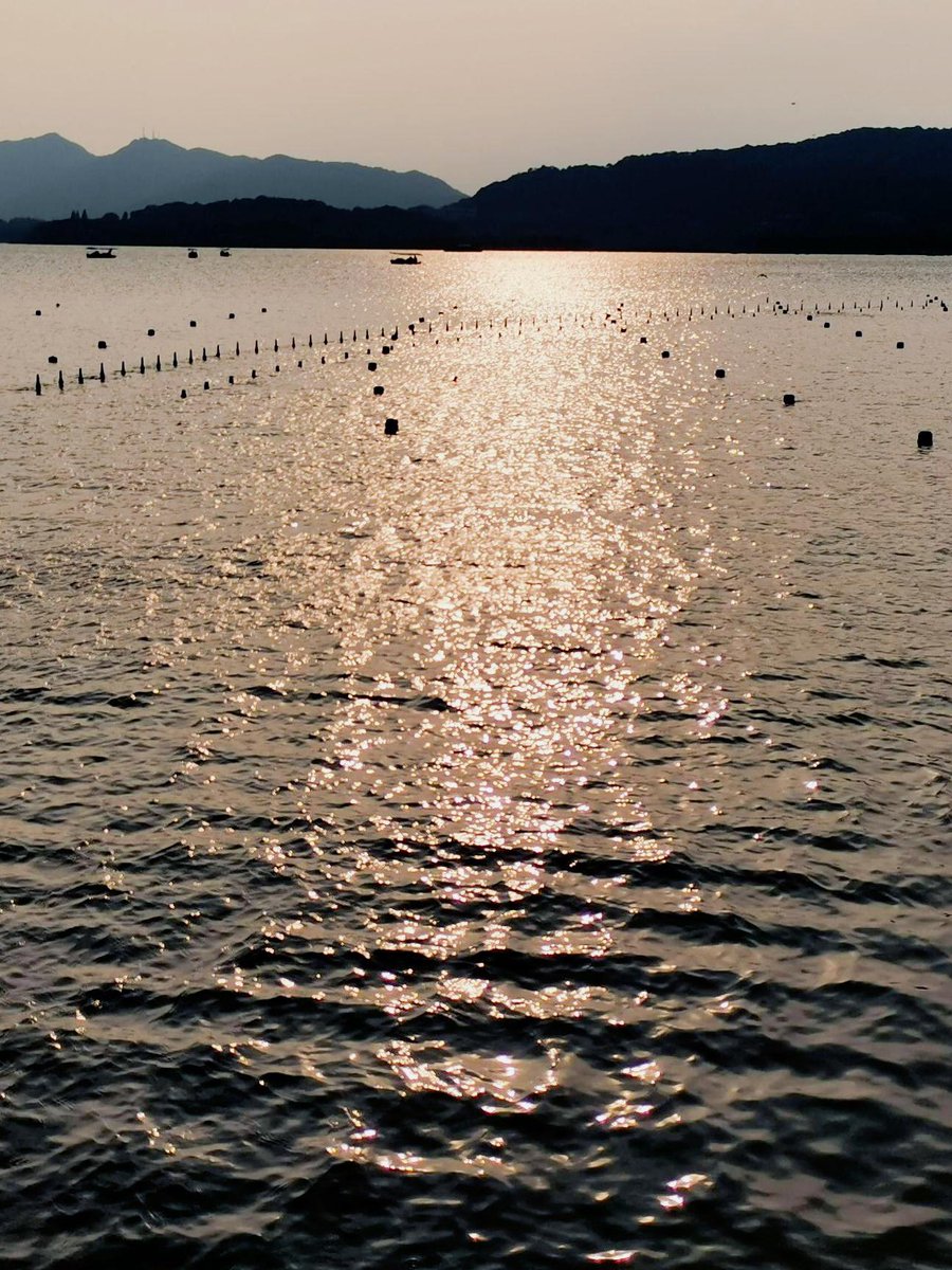 Gina Herrera tweet media