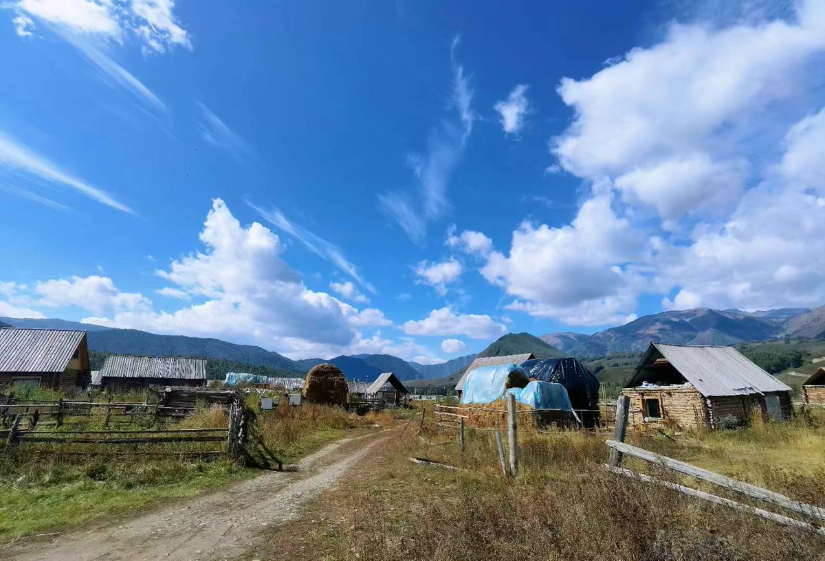 GERARDO VERSUS tweet media