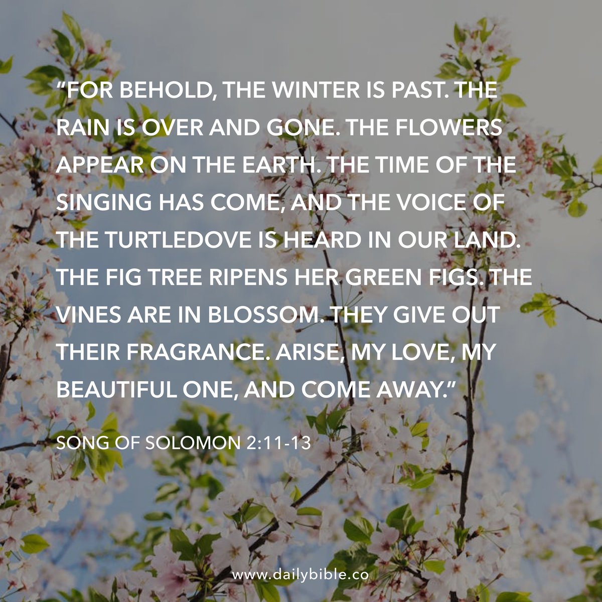 Ali Bradley tweet media