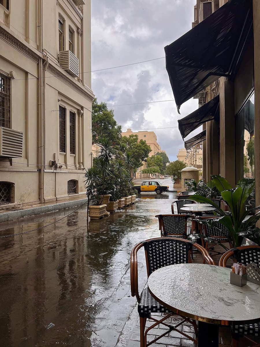 philocaaalist's tweet photo. شتاء إسكندرية اليوم.

©️ Ayman Mamdouh https://t.co/eRBcIftQu7
