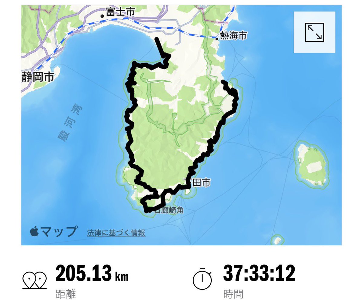 いかとん tweet media