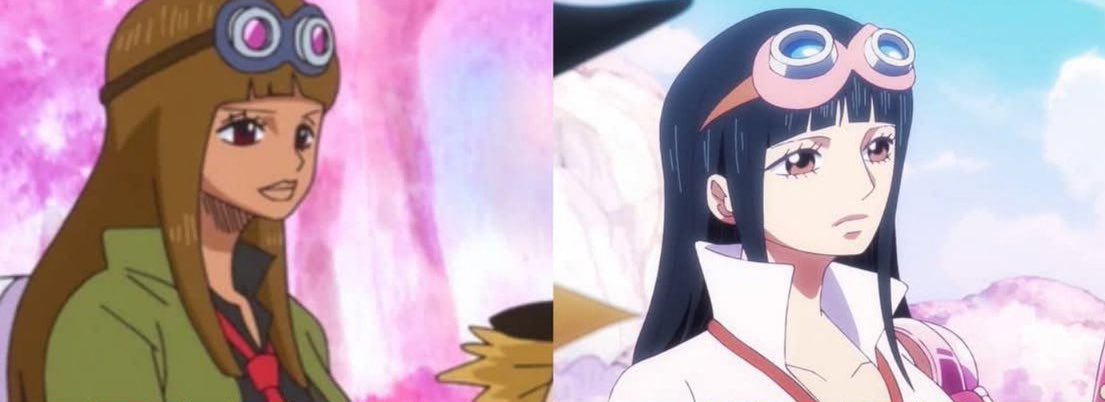 amendoim tweet media