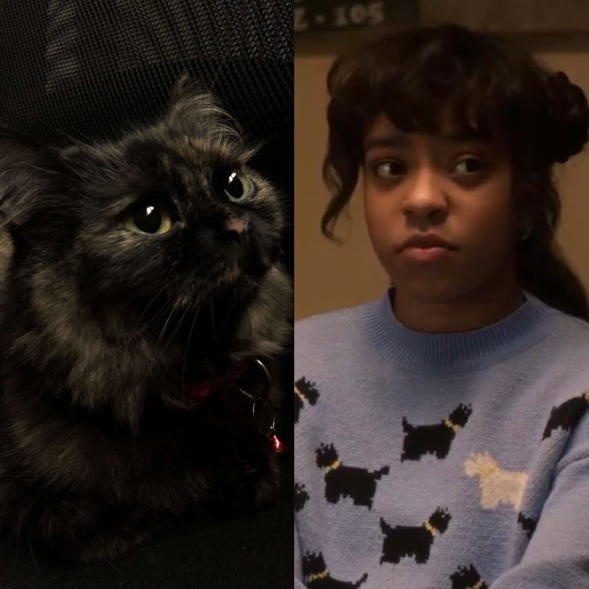 ⋆˚࿔ dana || VOTE ME BEST LADYPIE STAN 🌷 tweet media