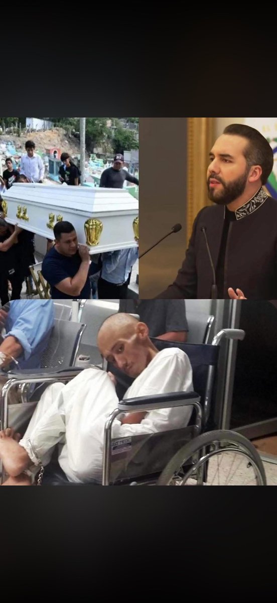 herbert ramos tweet media