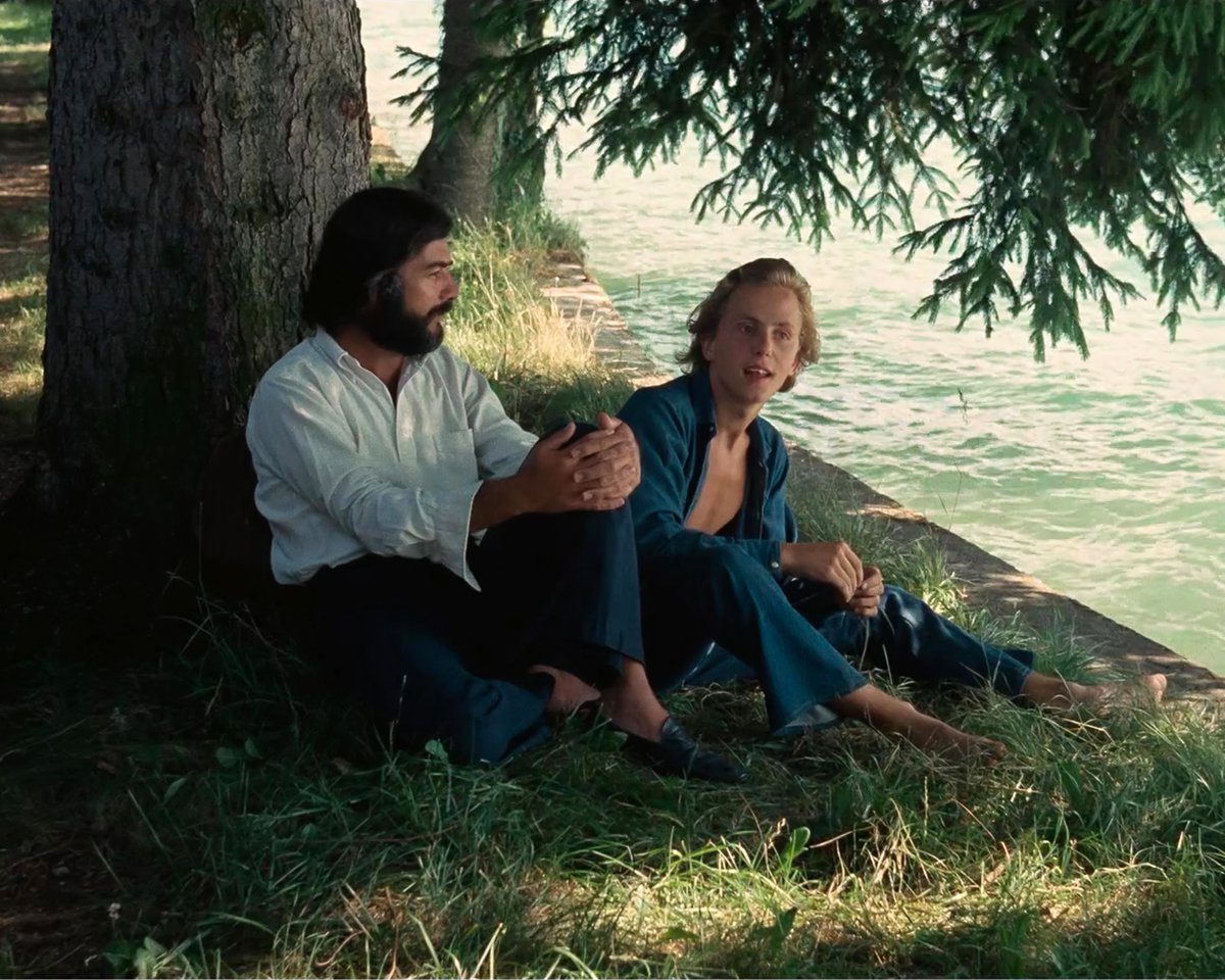 Letterboxd tweet media