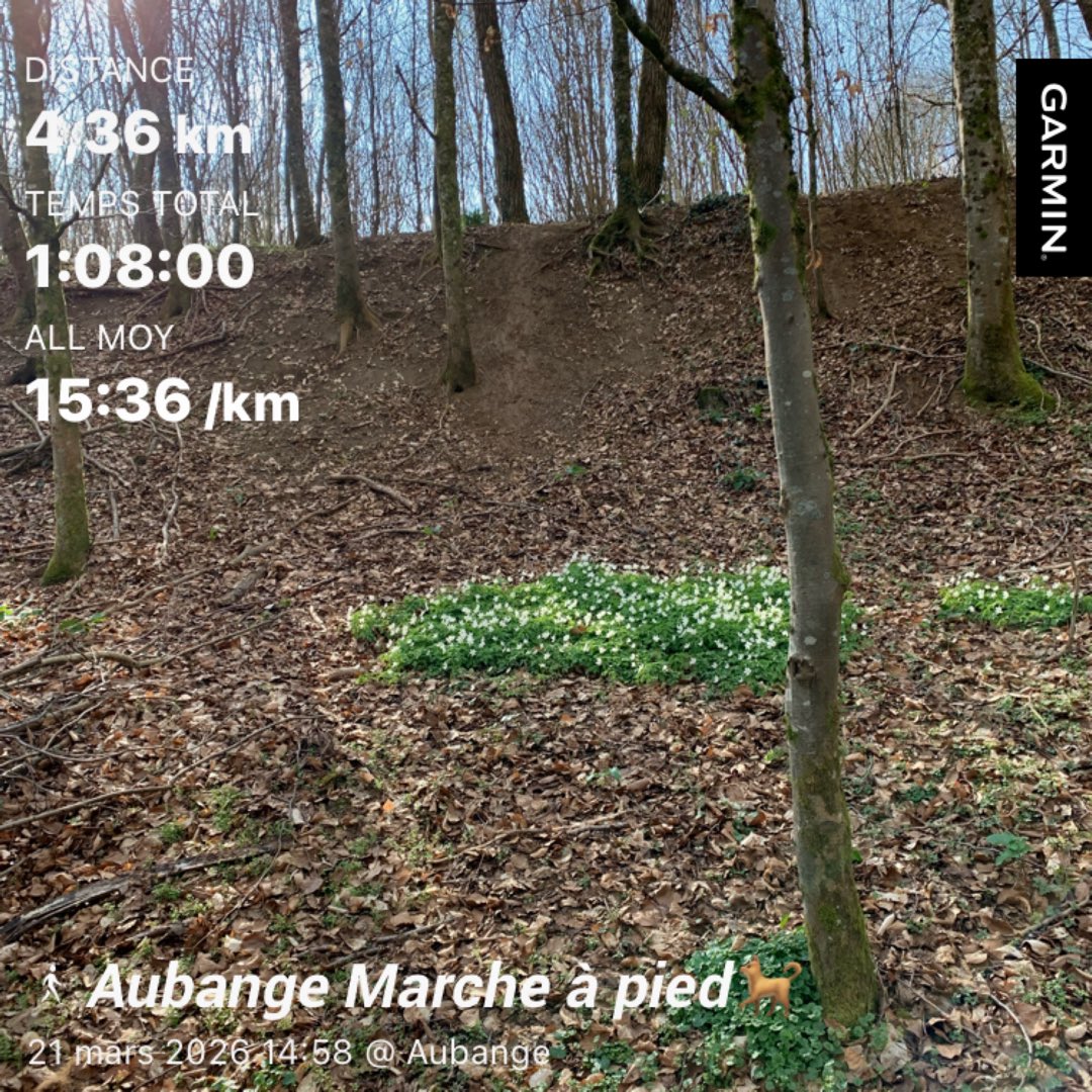 Didier FLECHE 🇧🇪🏊‍♂️🚴‍♂️🏃🏻‍♂️ tweet media