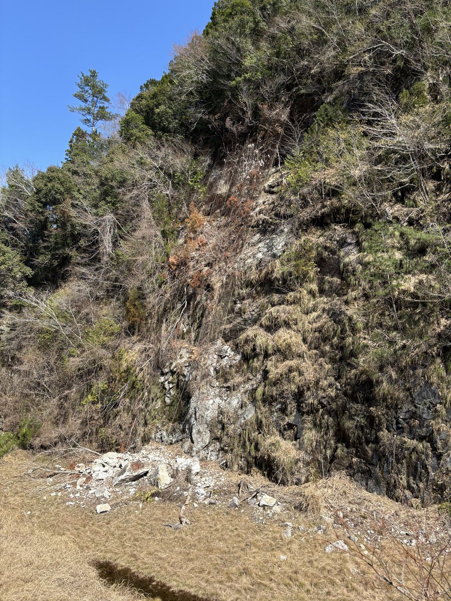 yabyou_yy's tweet photo. この写真も電力館敷地内の平地であるが、ここも走行路跡地と考えられる。

落石が認められるが、結局のところ落石防護ネットも気休めでしかないのだと実感した。

2、3枚目は電力館付近の県道法面だが、露岩にひび割れが認められ、落下するのも時間の問題かと思われる。 https://t.co/cambwLCWEB