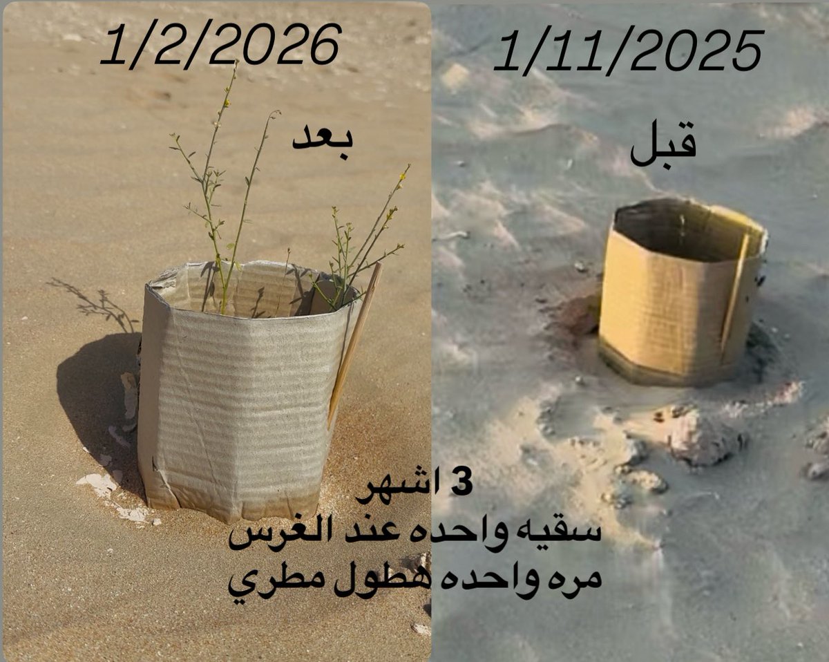 أحمد المرزوقي🇦🇪UAE tweet media