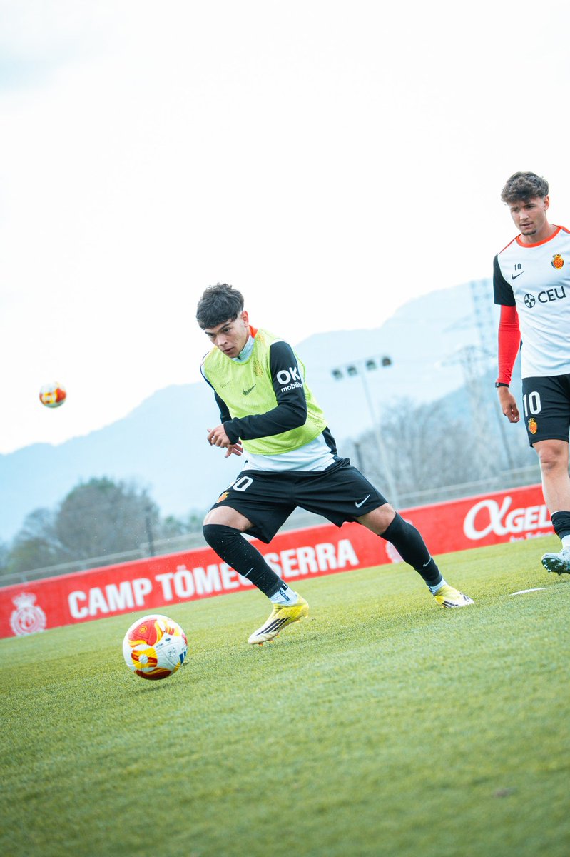 RCD Mallorca Base tweet media