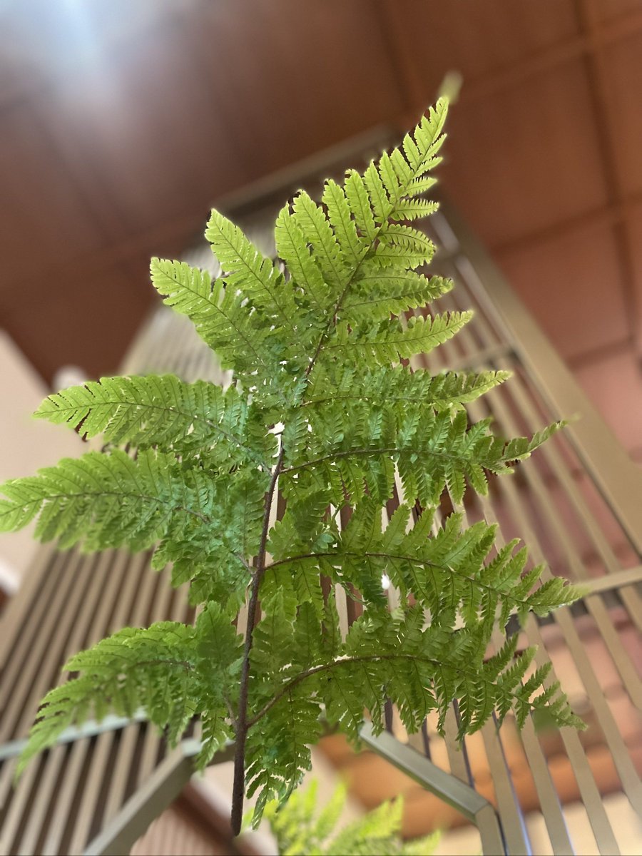 Anna Shaw tweet media