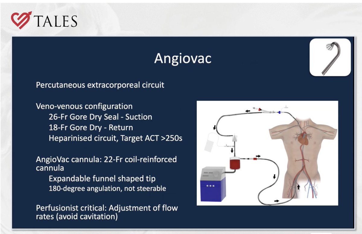 Edward J Schloss MD tweet media