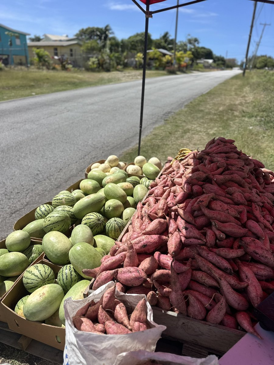 John Jones 👨🏾‍🌾🌱💧 tweet media