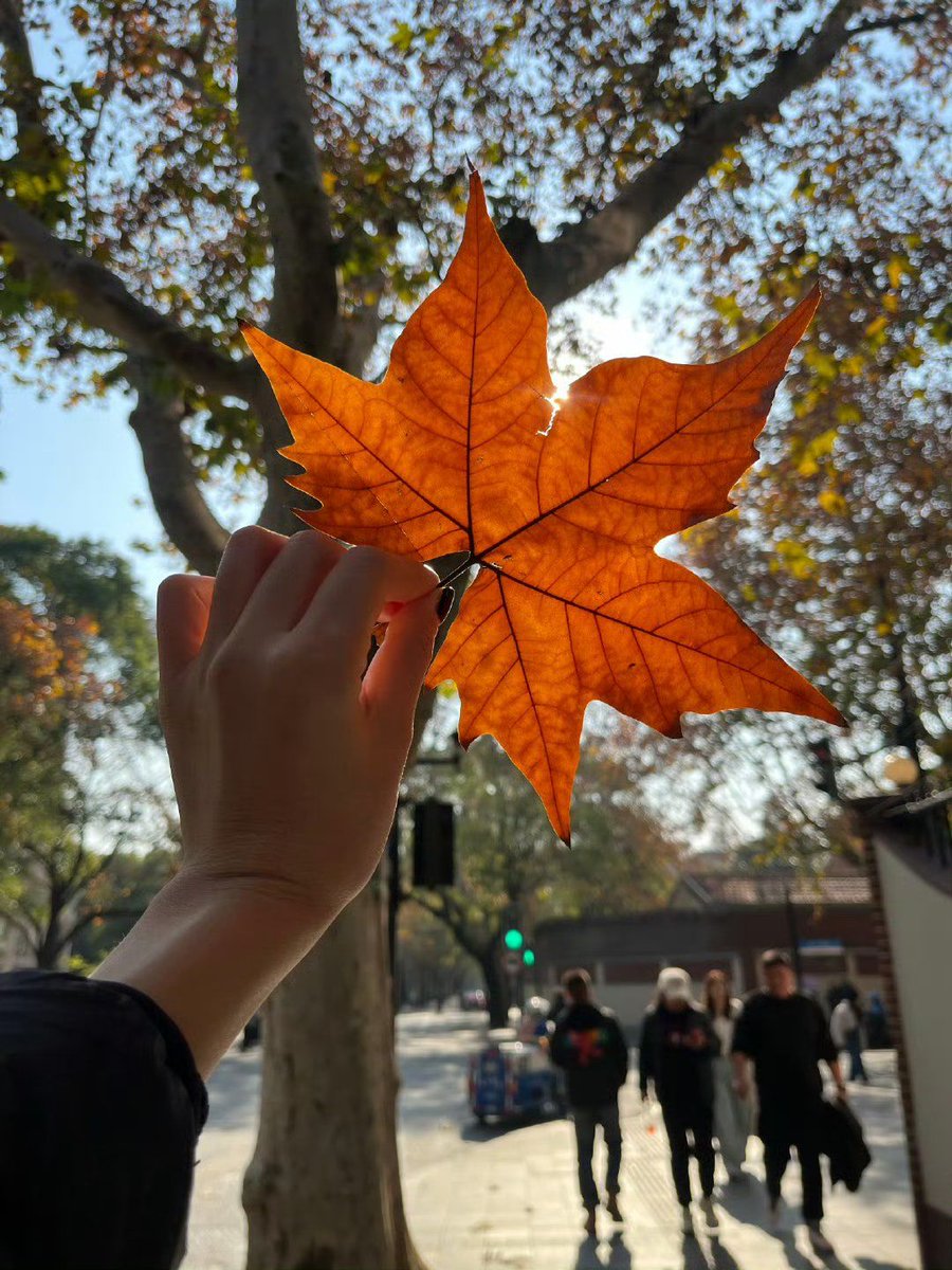 Complete tweet media