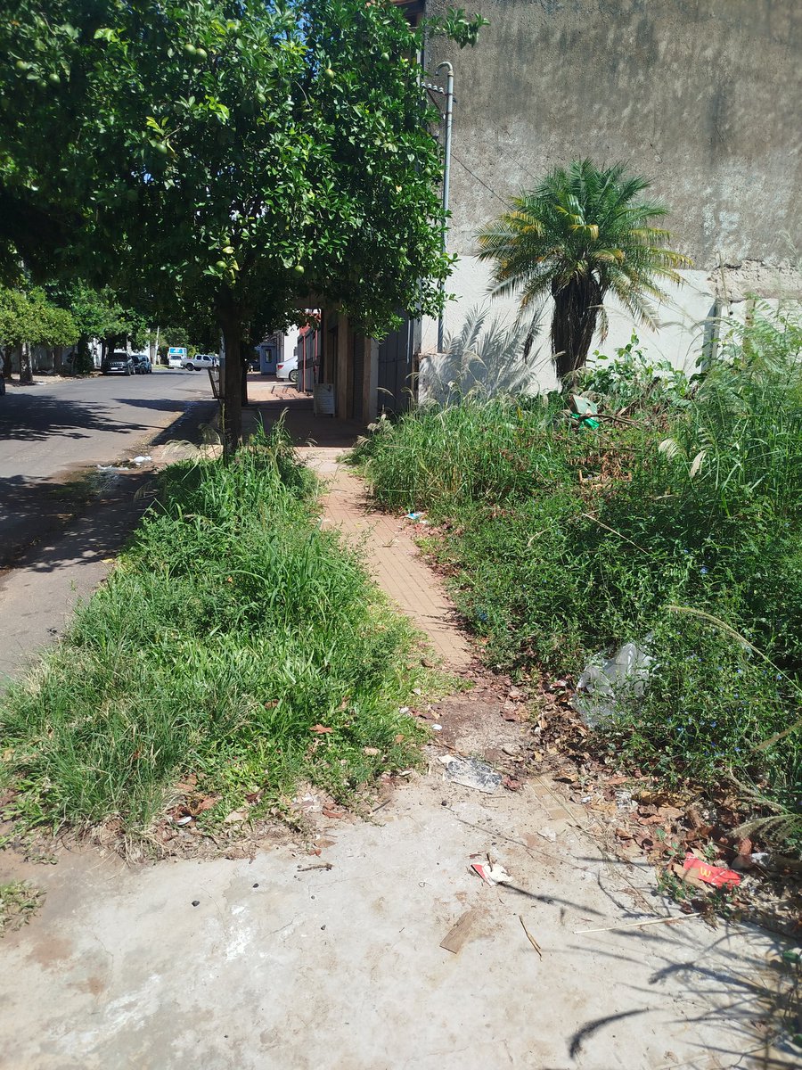 arol79's tweet photo. @luisbello_asu @AsuncionMuni  Solicitamos la intervención urgente ante el abandono de este terreno, que constituye un riesgo para la salud pública y la seguridad de los vecinos. Favor dar cumplimiento a las ordenanzas vigentes.Sucre entre Denis Roa y Cnel. Cabrera.BoSan Cristóbal https://t.co/8Ghvar2HyE