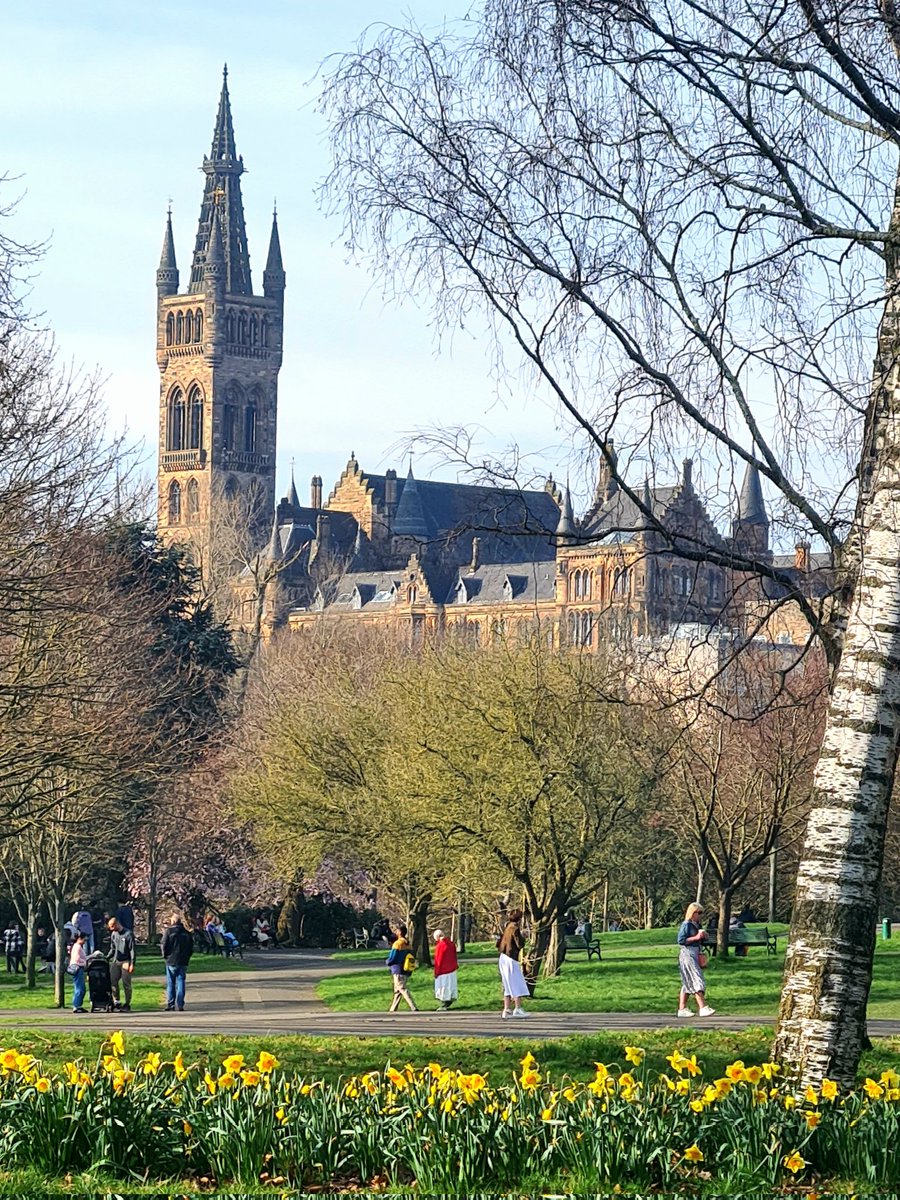 This Is My Glasgow tweet media