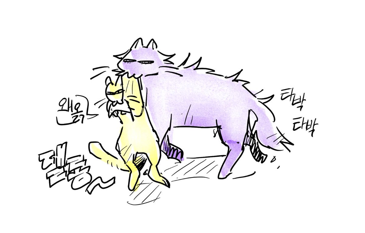 히히똥 tweet media