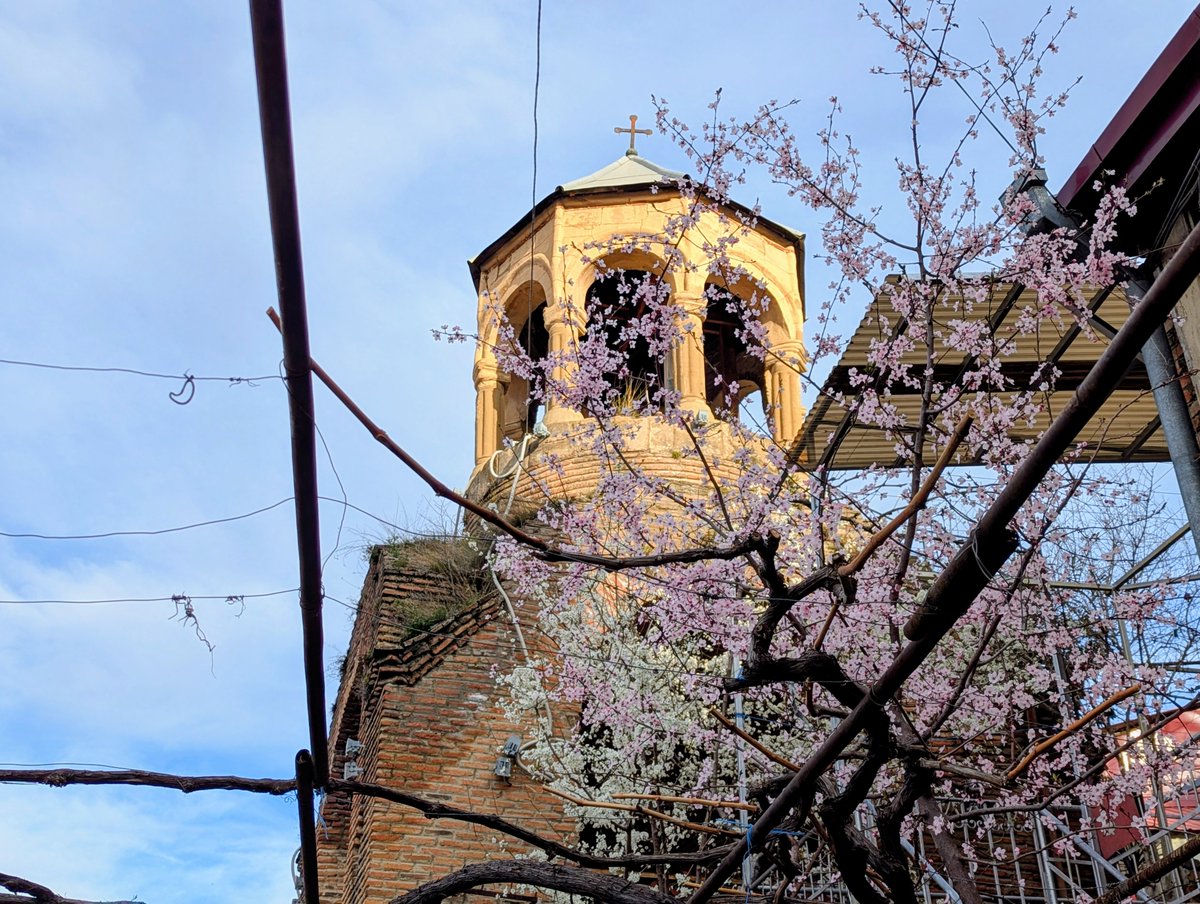 Things I see tweet media