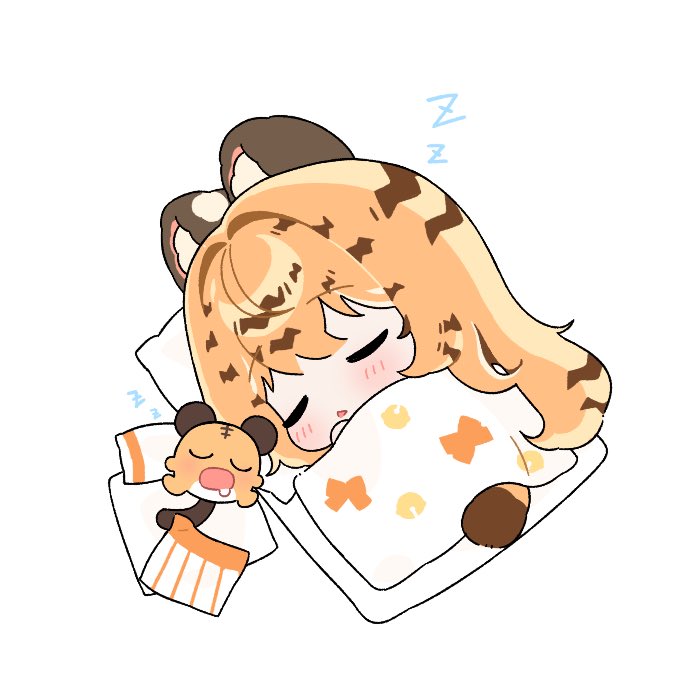 호냥🐯🧶 tweet media