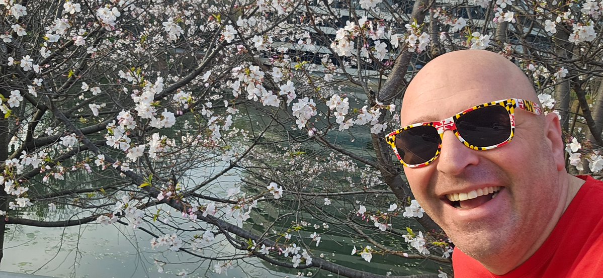 Bryan Greenberg tweet media