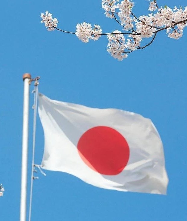 Katrin 🇺🇸🇯🇵 advisor tweet media