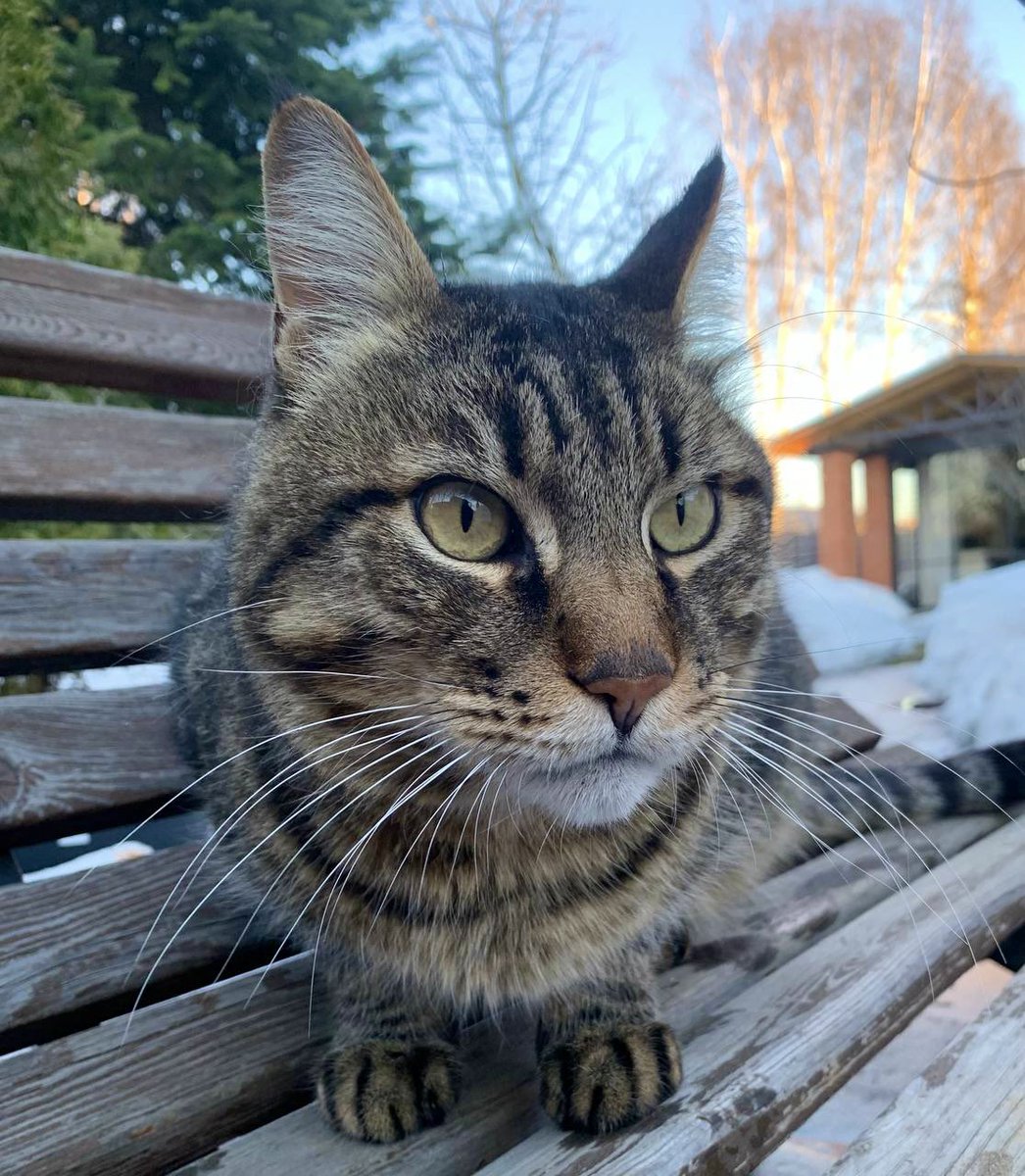 Инга tweet media