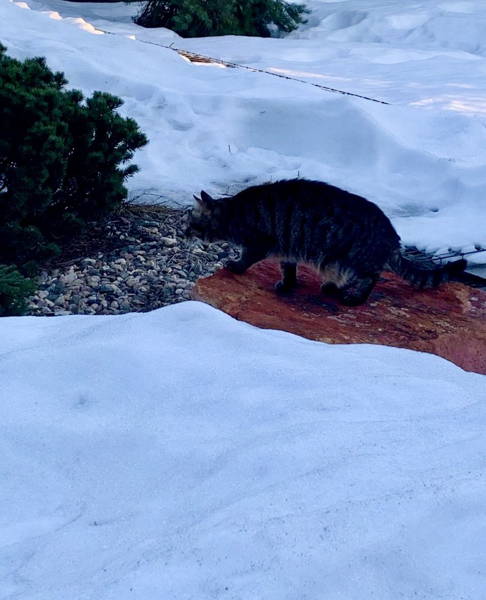 Инга tweet media