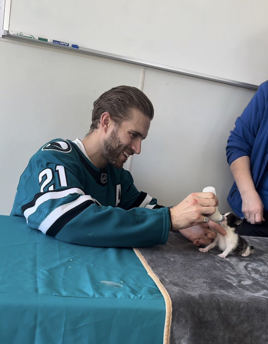 San Jose Sharks Source tweet media