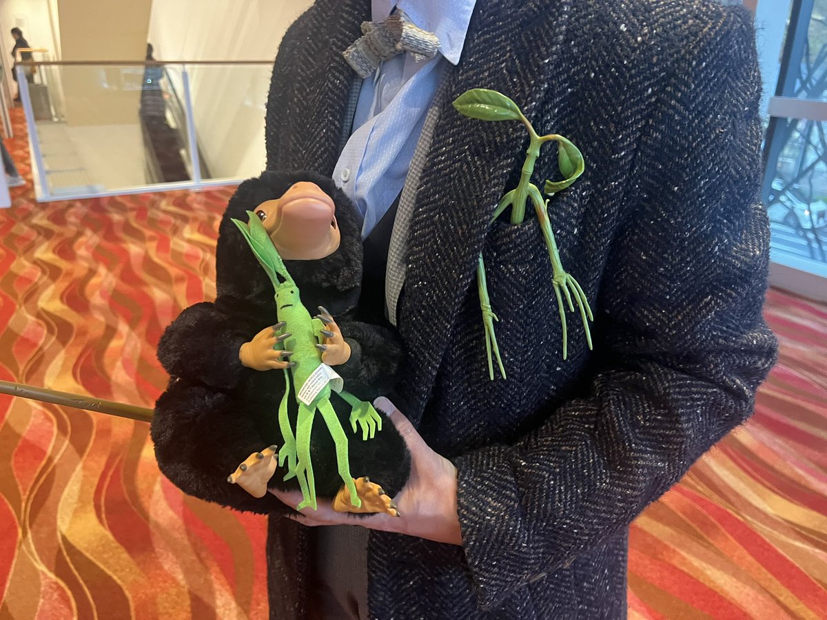 アンゼラ tweet media