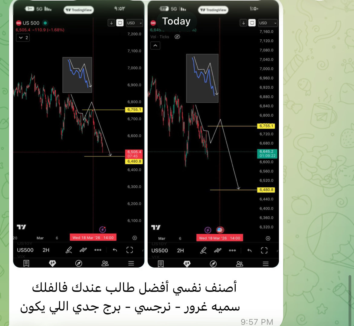 زينه ✨ tweet media