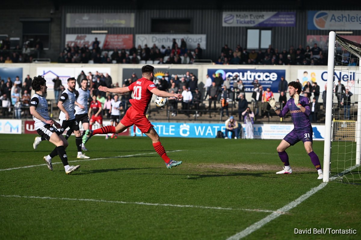 David Bell tweet media