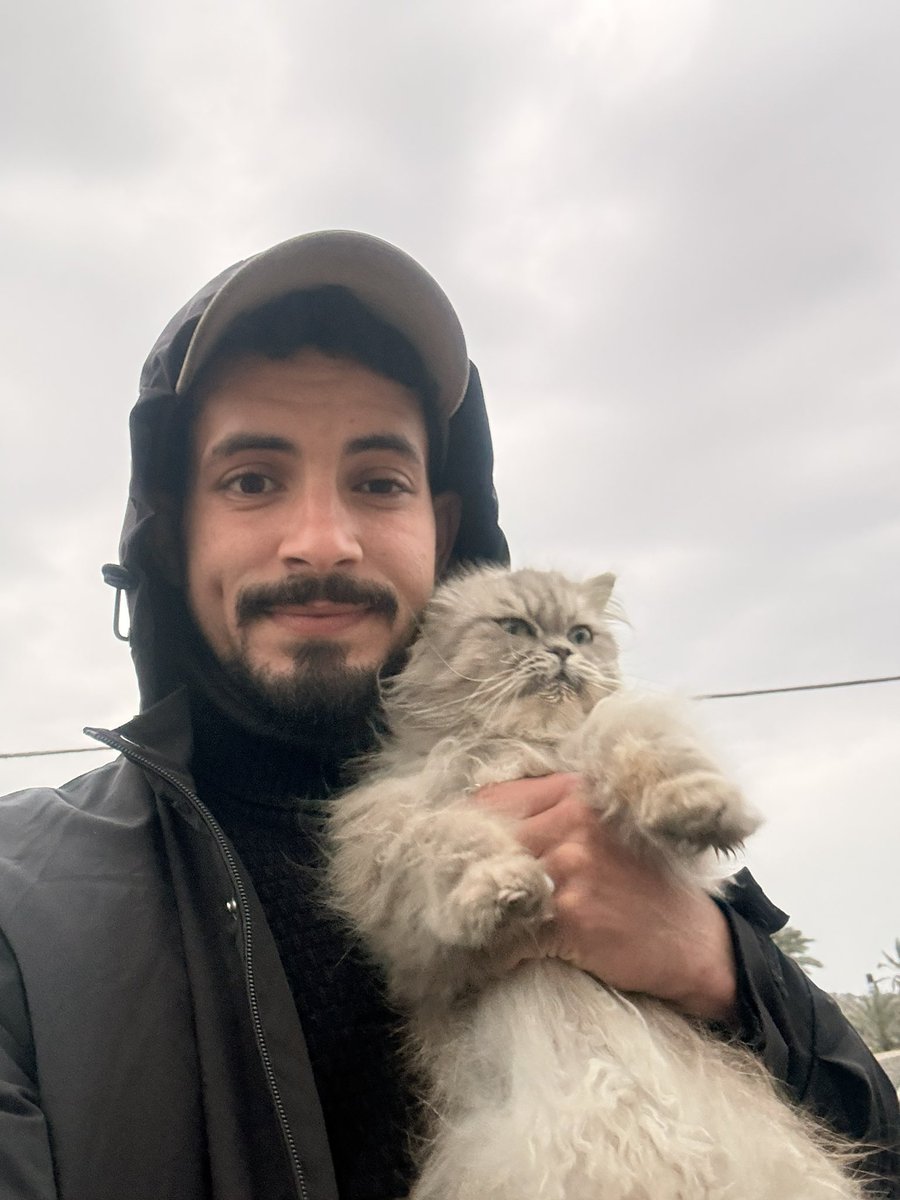 SHARIF 𓂆 tweet media