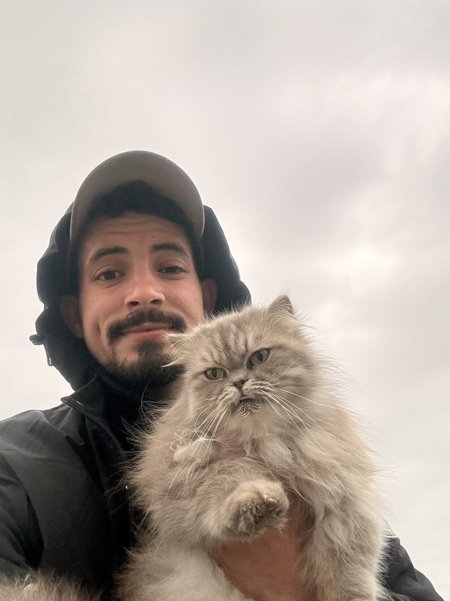 SHARIF 𓂆 tweet media