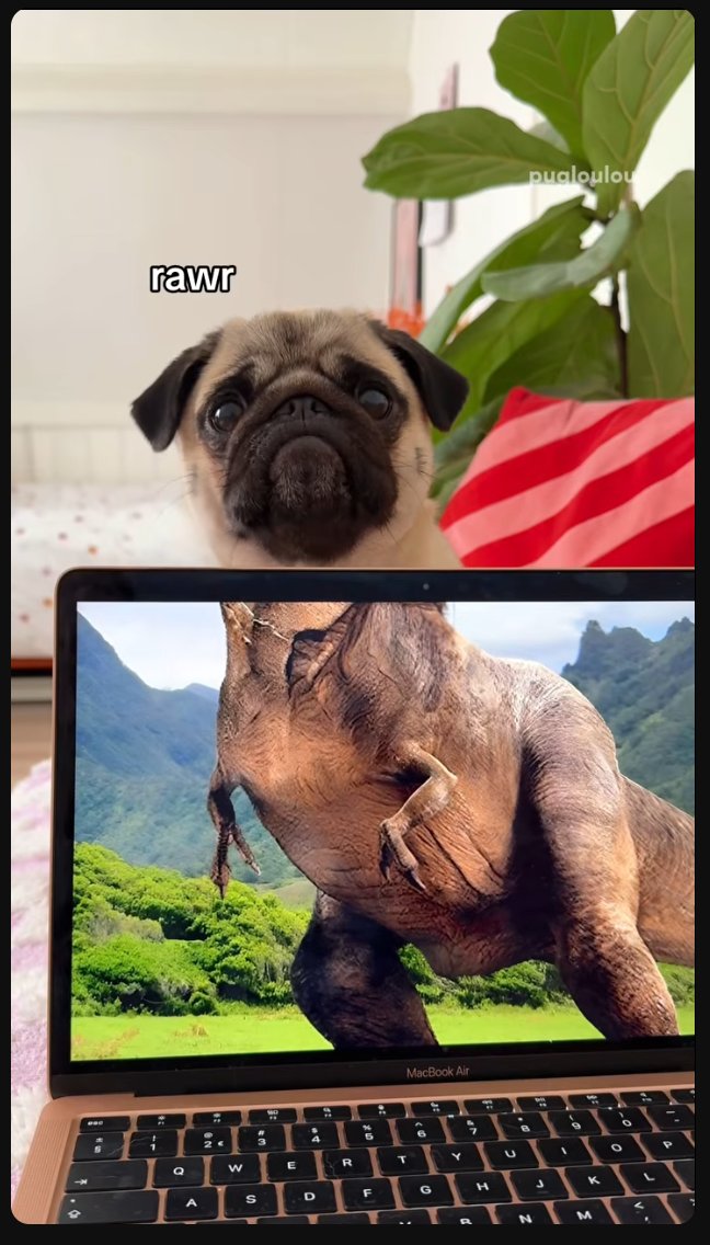 𝕰𝖗𝖎𝖈 𝖕𝖚𝖌 🐶 tweet media