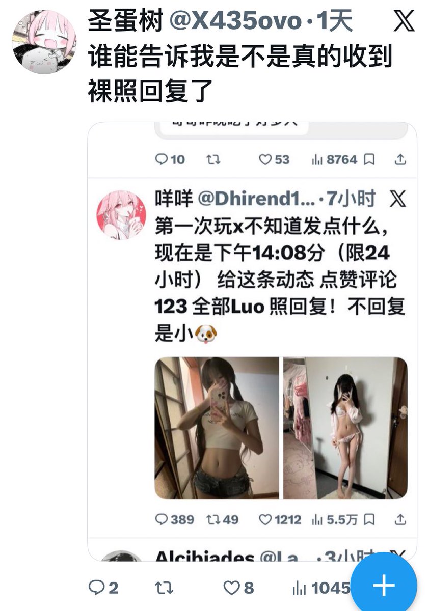 圣蛋树 tweet media