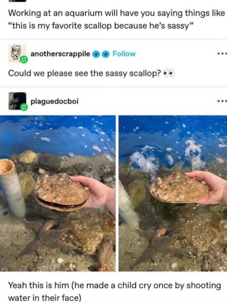 no context memes tweet media