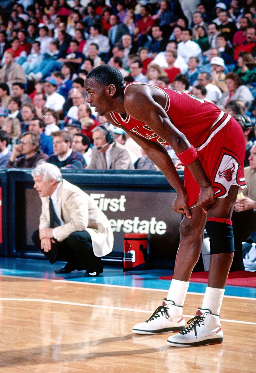 JordanMuse tweet media