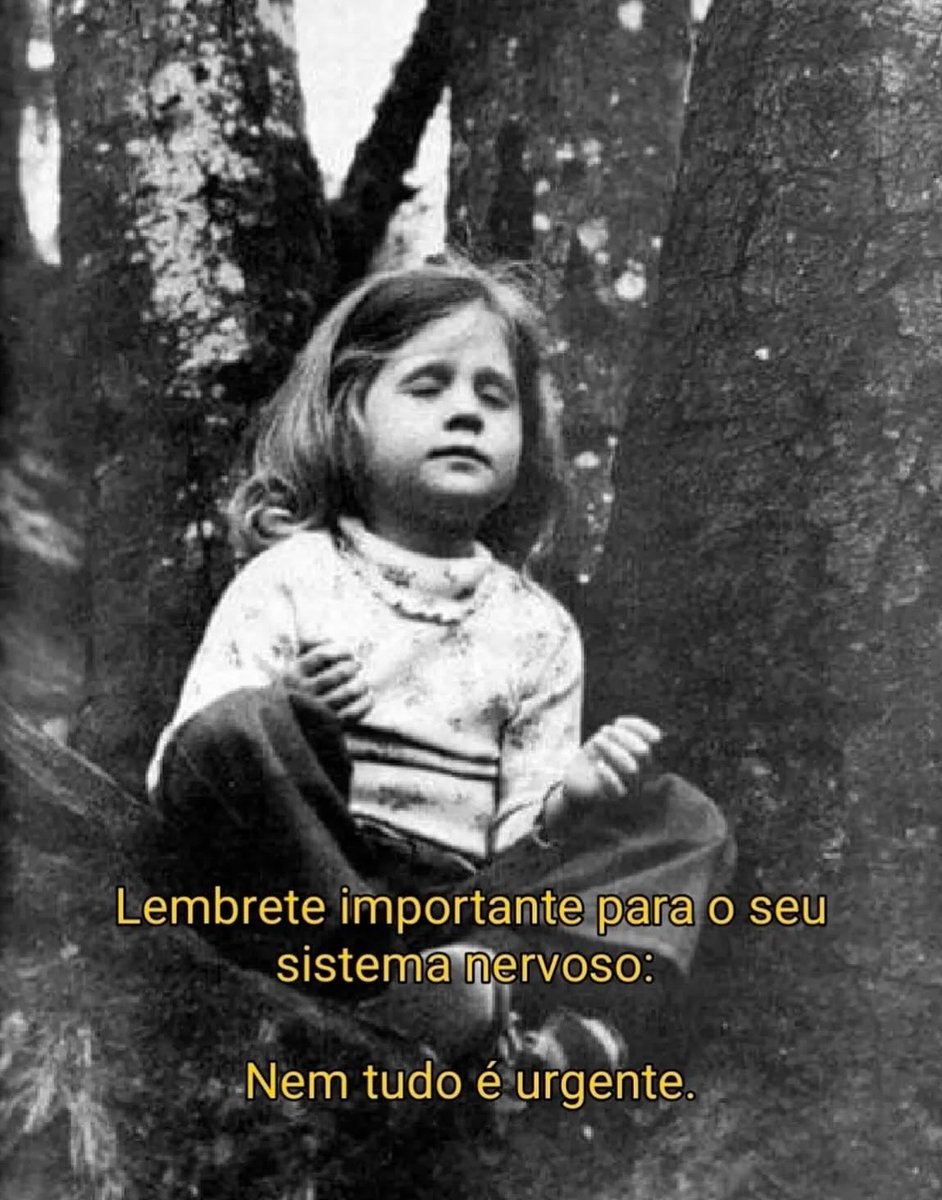 R e c i t e i tweet media