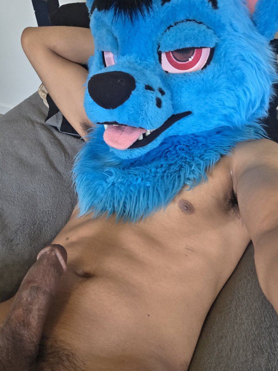 BigBlueWolfAD tweet media