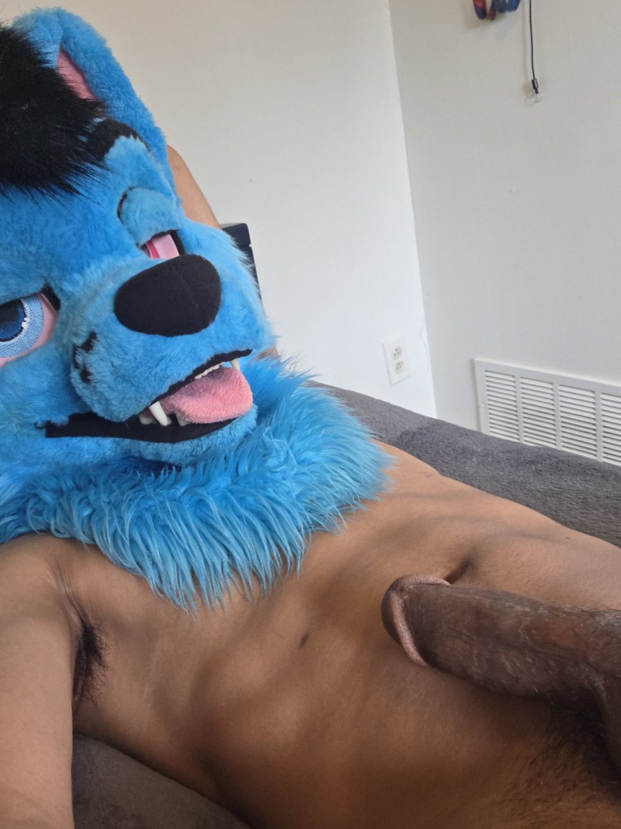 BigBlueWolfAD tweet media