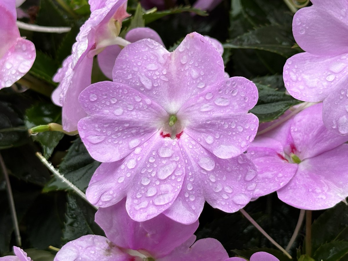 奕晴📷 tweet media