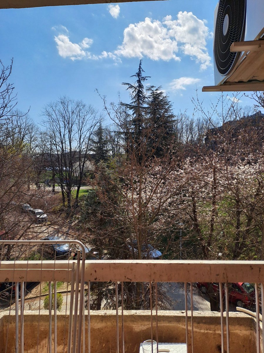 Днищебродский tweet media