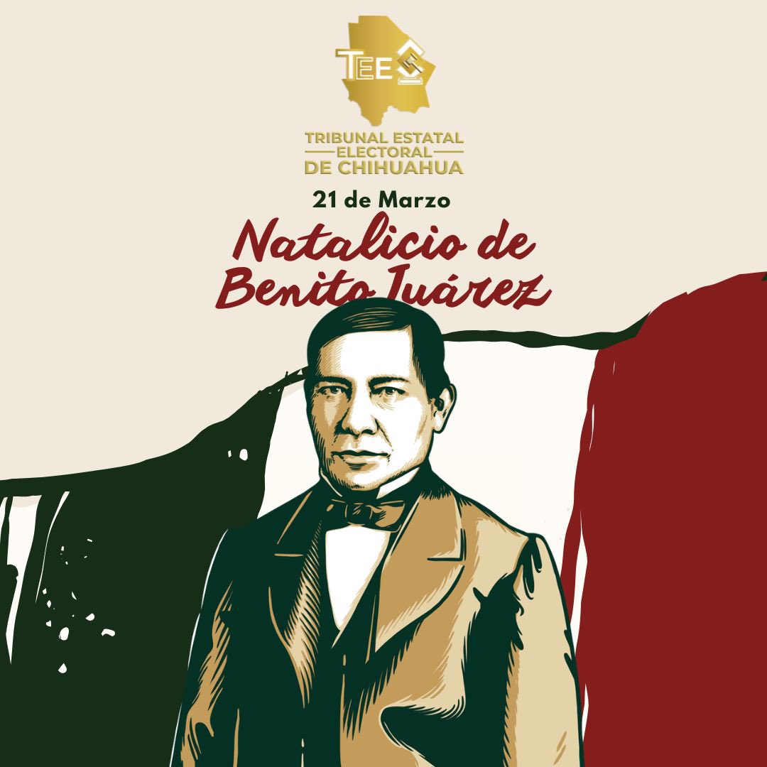 TEEChihuahua tweet media