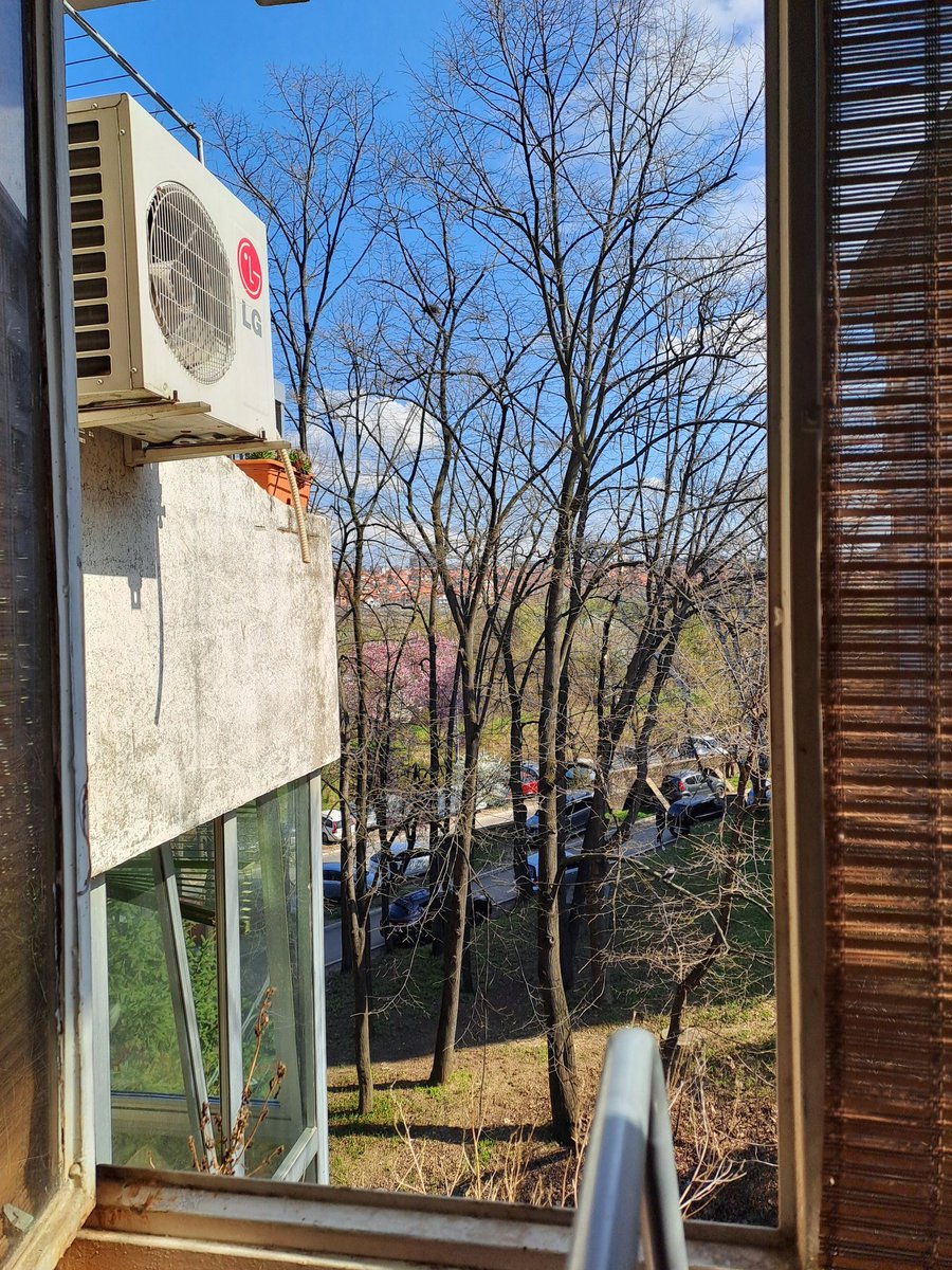 Днищебродский tweet media