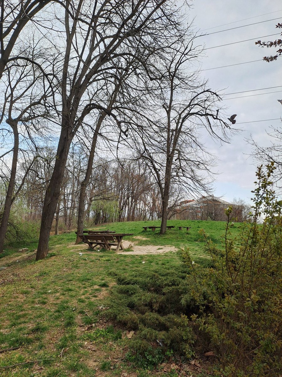 Днищебродский tweet media