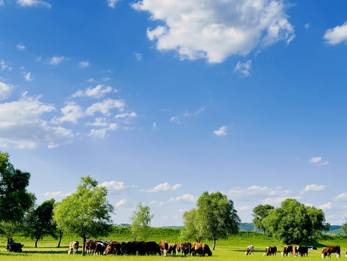 Michael Cruse tweet media