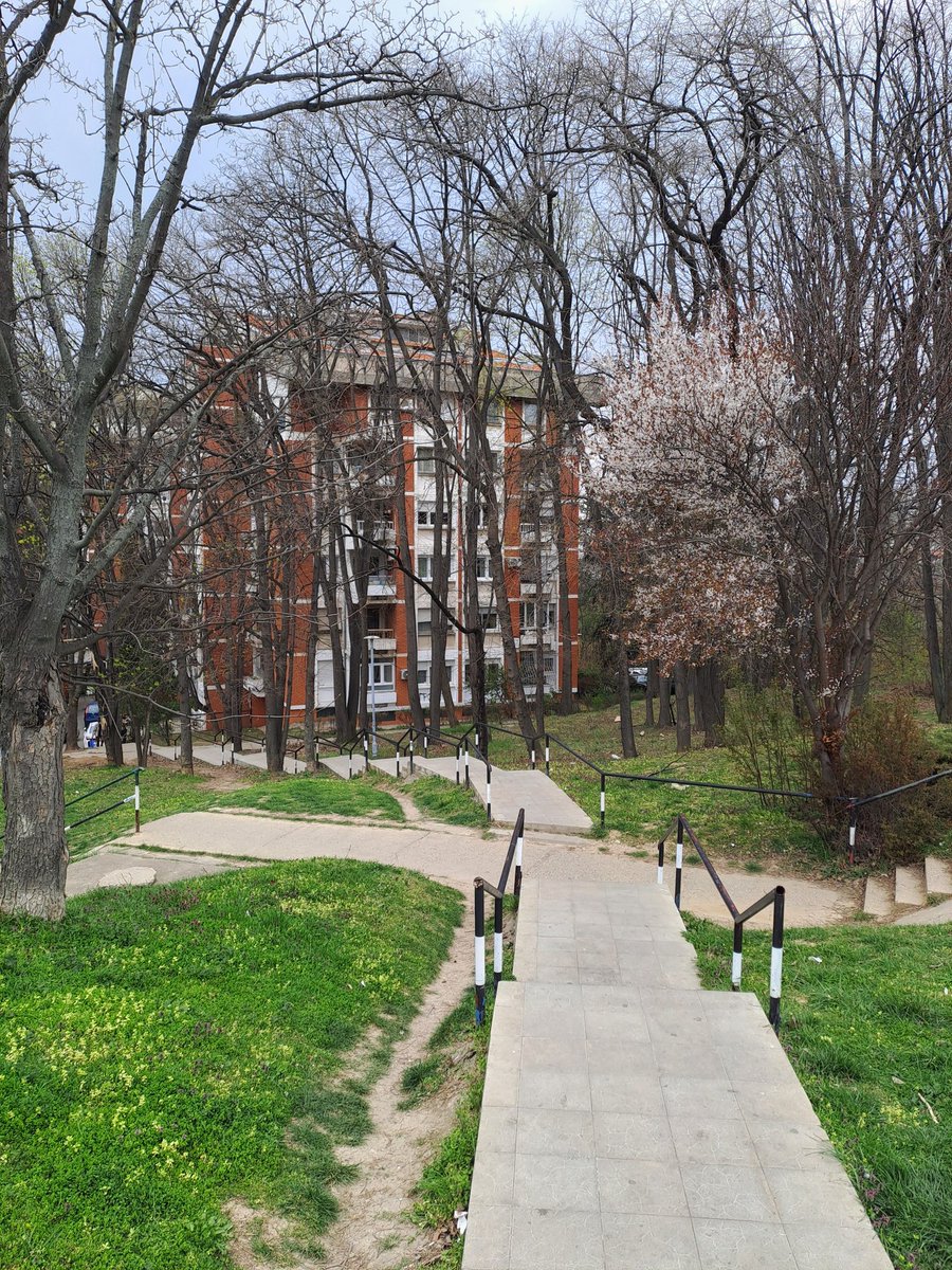 Днищебродский tweet media